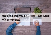 現(xiàn)在微信小程序開發(fā)用什么語(yǔ)言（微信小程序開發(fā) 用什么語(yǔ)言）