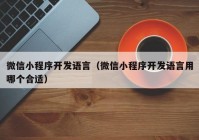 微信小程序開發(fā)語言（微信小程序開發(fā)語言用哪個(gè)合適）