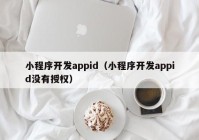 小程序開發(fā)appid（小程序開發(fā)appid沒(méi)有授權(quán)）