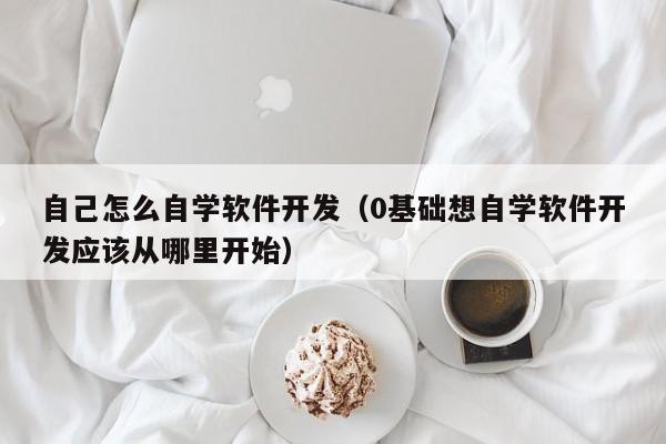 自己怎么自學軟件開發(fā)(0基礎(chǔ)想自學軟件開發(fā)應該從哪里開始)
