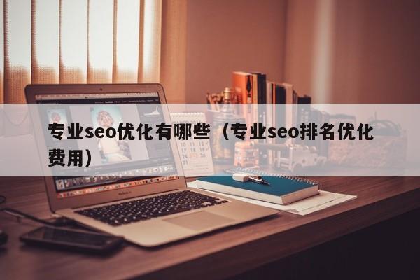 專業(yè)seo優(yōu)化有哪些(專業(yè)seo排名優(yōu)化費用)