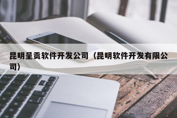 昆明呈貢軟件開發(fā)公司(昆明軟件開發(fā)有限公司)