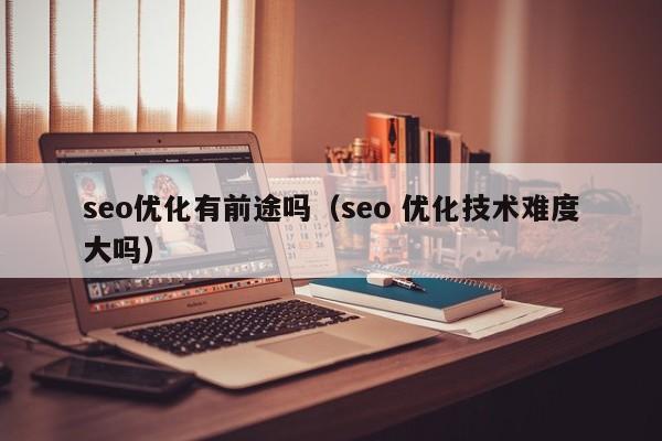 seo優(yōu)化有前途嗎(seo 優(yōu)化技術難度大嗎)