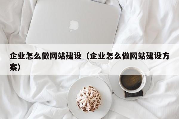 企業(yè)怎么做網(wǎng)站建設(企業(yè)怎么做網(wǎng)站建設方案)