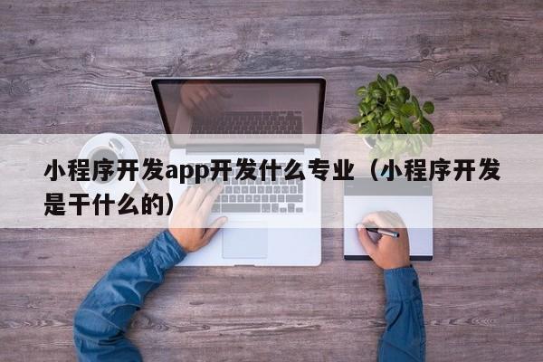 小程序開發(fā)app開發(fā)什么專業(yè)(小程序開發(fā)是干什么的)