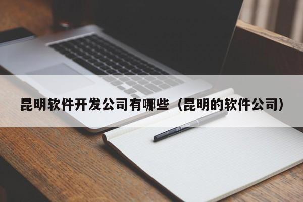 昆明軟件開發(fā)公司有哪些(昆明的軟件公司)