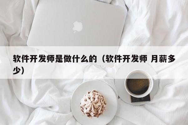 軟件開發(fā)師是做什么的(軟件開發(fā)師 月薪多少)