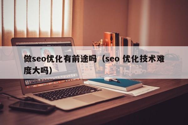 做seo優(yōu)化有前途嗎(seo 優(yōu)化技術(shù)難度大嗎)
