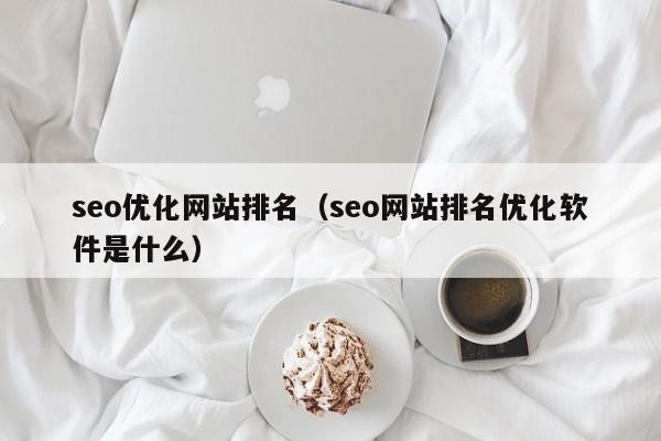 seo優(yōu)化網(wǎng)站排名(seo網(wǎng)站排名優(yōu)化軟件是什么)