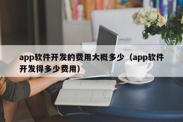app軟件開發(fā)的費用大概多少(app軟件開發(fā)得多少費用)