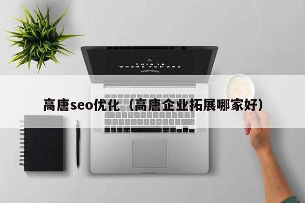 高唐seo優(yōu)化(高唐企業(yè)拓展哪家好)