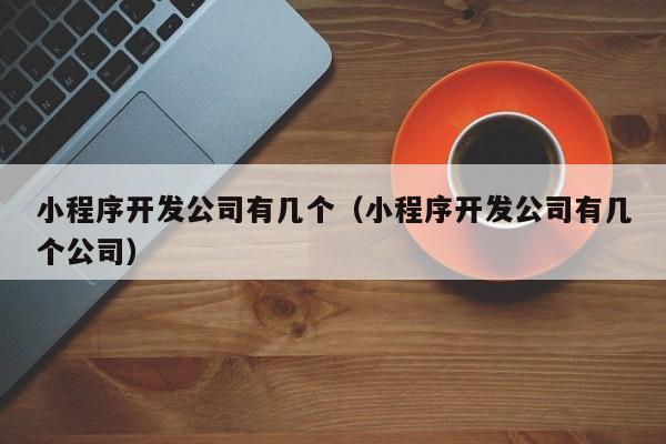 小程序開發(fā)公司有幾個(gè)(小程序開發(fā)公司有幾個(gè)公司)