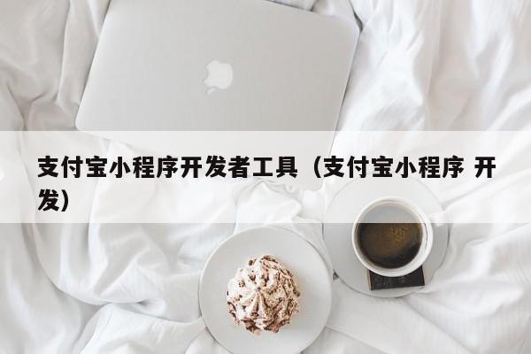 支付寶小程序開發(fā)者工具(支付寶小程序 開發(fā))