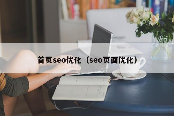 首頁(yè)seo優(yōu)化(seo頁(yè)面優(yōu)化)