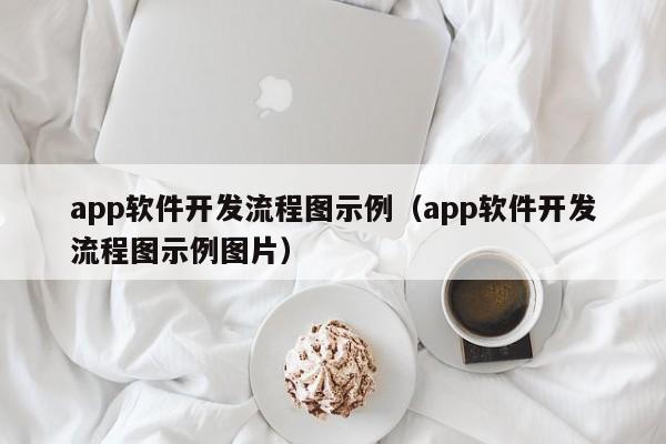 app軟件開發(fā)流程圖示例(app軟件開發(fā)流程圖示例圖片)