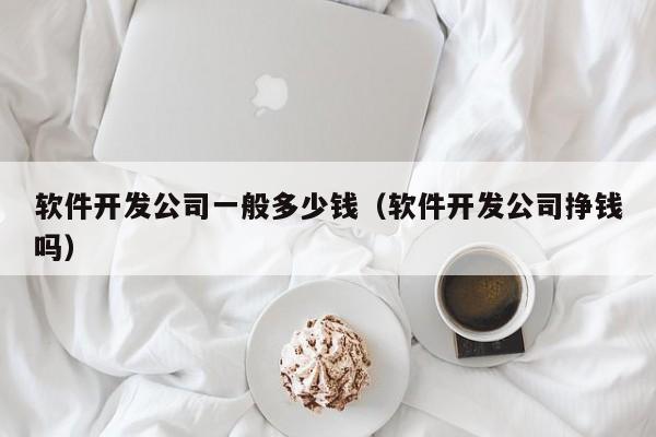 軟件開發(fā)公司一般多少錢(軟件開發(fā)公司掙錢嗎)