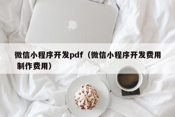 微信小程序開發(fā)pdf(微信小程序開發(fā)費(fèi)用 制作費(fèi)用)