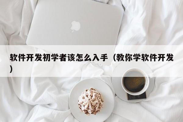 軟件開發(fā)初學(xué)者該怎么入手(教你學(xué)軟件開發(fā))