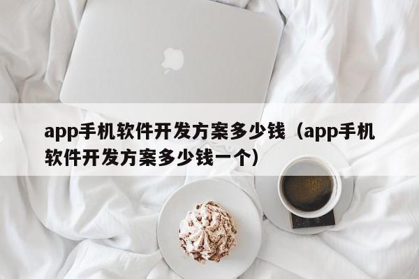 app手機軟件開發(fā)方案多少錢(app手機軟件開發(fā)方案多少錢一個)