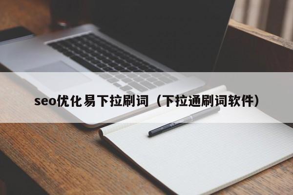 seo優(yōu)化易下拉刷詞(下拉通刷詞軟件)