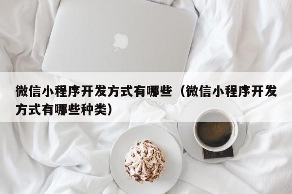 微信小程序開發(fā)方式有哪些(微信小程序開發(fā)方式有哪些種類)