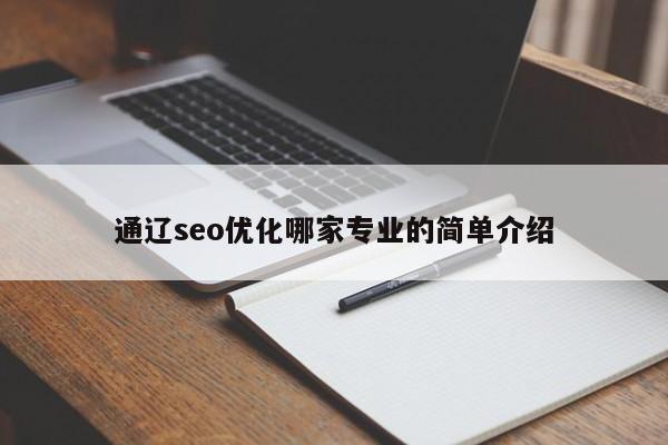 通遼seo優(yōu)化哪家專業(yè)的簡單介紹