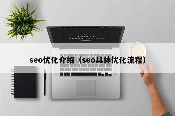 seo優(yōu)化介紹(seo具體優(yōu)化流程)