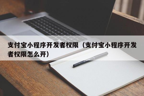 支付寶小程序開發(fā)者權(quán)限(支付寶小程序開發(fā)者權(quán)限怎么開)