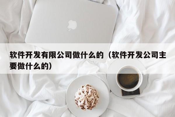 軟件開發(fā)有限公司做什么的(軟件開發(fā)公司主要做什么的)