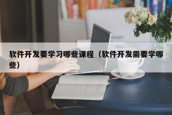 軟件開發(fā)要學習哪些課程(軟件開發(fā)需要學哪些)