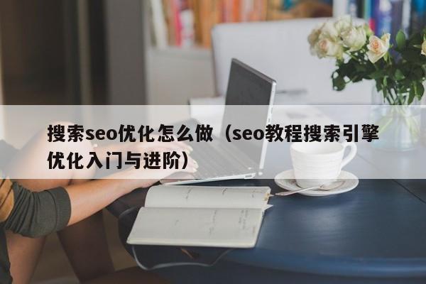 搜索seo優(yōu)化怎么做(seo教程搜索引擎優(yōu)化入門與進階)