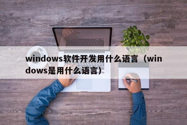 windows軟件開(kāi)發(fā)用什么語(yǔ)言(windows是用什么語(yǔ)言)